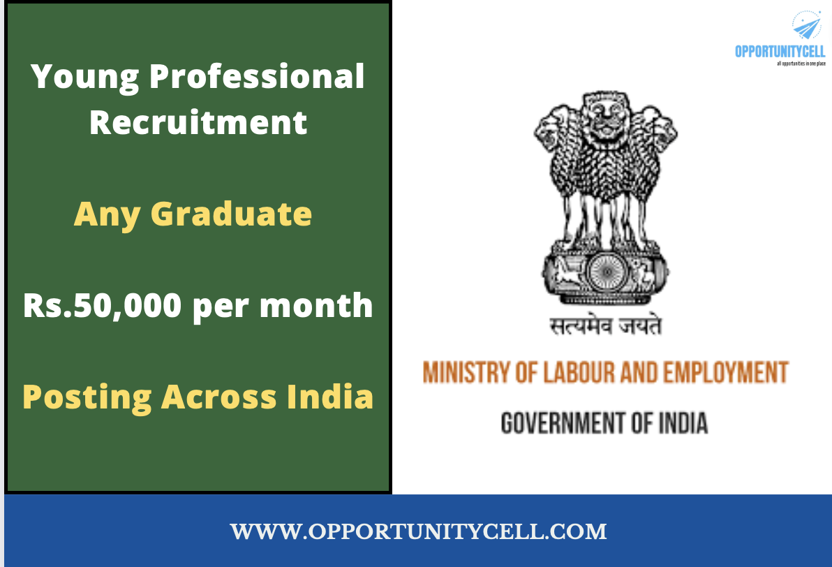 Ministry Of Labour And Employment, Govt. Of India-Young Professional ...